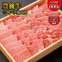 【ふるさと納税】大分が誇る ブランド牛 豊後牛 三角バラ焼肉セット (600g)【配送不可地域：離島】【1078151】