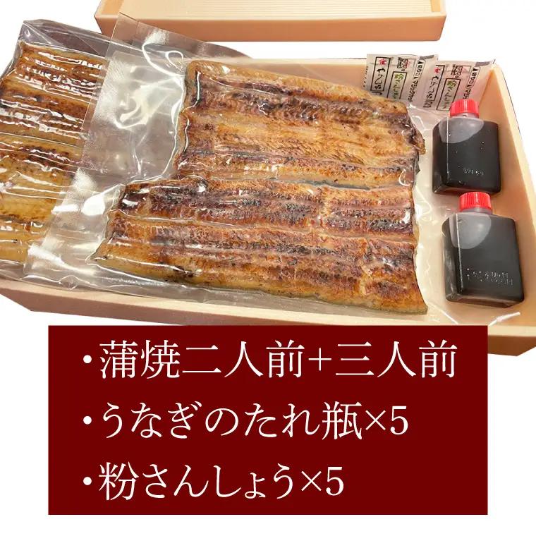 【蒲焼割烹 ぬりや】うなぎ蒲焼（真空パック）５人前 （GW-5）