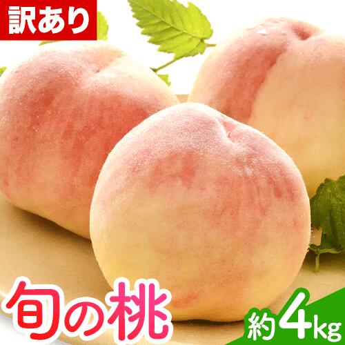 【ふるさと納税】訳あり 和歌山の桃 約4kg 岸武青果株式会社《2025年6月下旬-8月末頃出荷》 和歌山県 紀の川市 桃 ご家庭用 もも モモ 果物 フルーツ