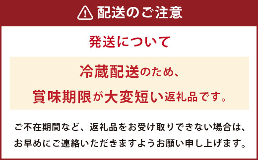 ぶどうの樹 自家製 ハンバーグ 150g×6個&安河内先生おすすめ 白ワイン