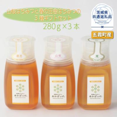 ふるさと納税 那珂市 山桜はちみつと春の田舎はちみつの3種セット【B3山桜】【茨城県共通返礼品/五霞町】