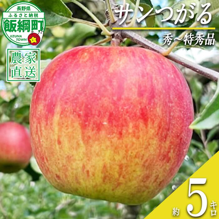 【ふるさと納税】 りんご サンつがる 5kg 秀〜特秀 若林農園 沖縄県への配送不可 〔 果物 フルーツ 林檎 長野 予約 農家直送 贈答用 5キロ 18000円 〕【令和8年度収穫分】 発送：2026年8月下旬〜