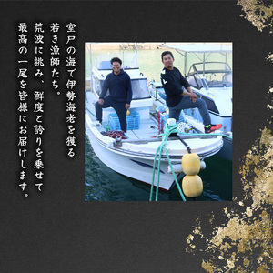 【 訳あり 伊勢海老 】 伊勢海老 1.5kg 5尾