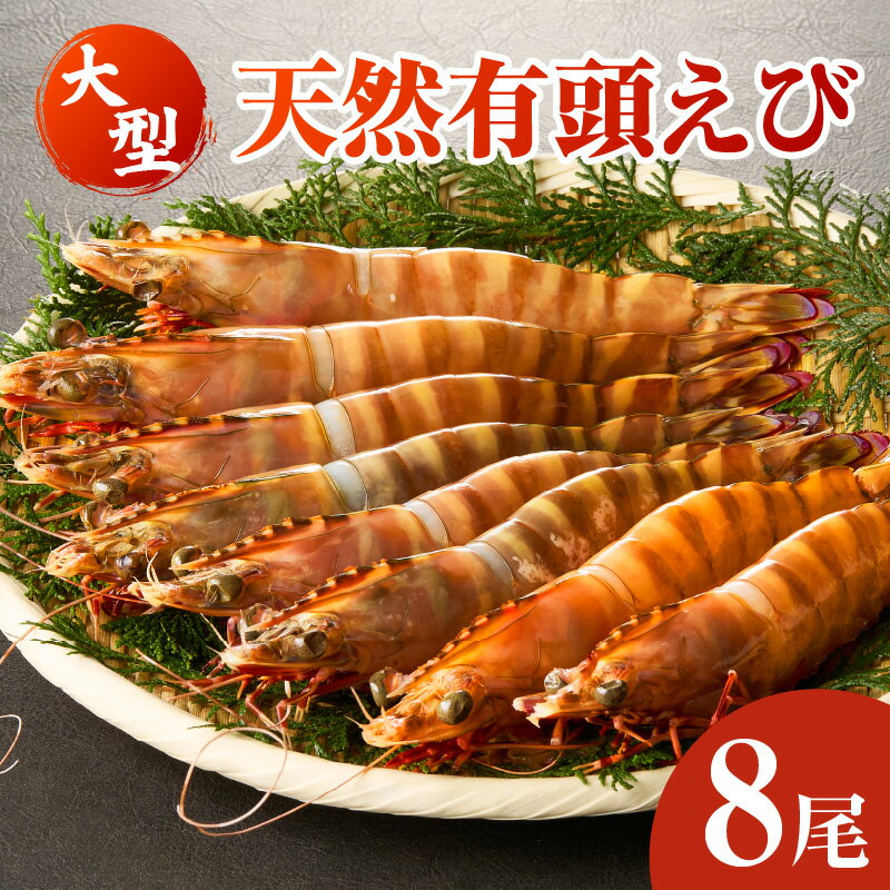 【ふるさと納税】大型天然有頭えび8尾・K301 えび 天然えび 有頭えび タイガー海老 高級タイガー海老 ぷりぷり 海産物 海鮮 魚介類 魚貝類 海鮮物 海産 水産 水産品 水産物 冷凍 普段使い 使い勝手 グルメ お取り寄せ 愛知県 西尾市 送料無料