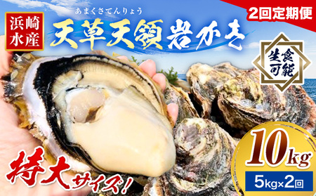 岩牡蠣 定期便 2回 5kg カキ 岩かき 浜崎水産