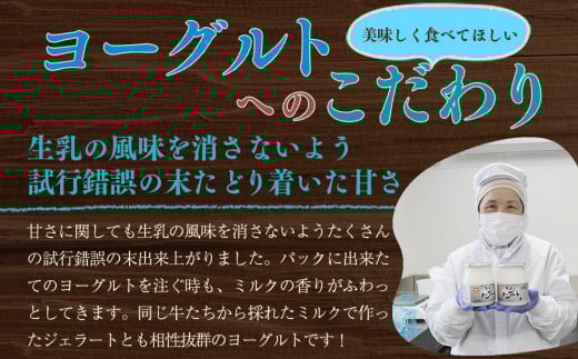 年間20万人が来店 搾りたて牛乳で作る 「松ぼっくり」 飲むヨーグルト10本と食べるヨーグルト2個 ／ ヨーグルト セット 詰め合わせ