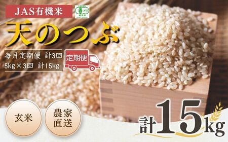 【毎月定期便】 JAS有機米 天のつぶ 玄米 15kg (5kg×3回) 令和7年産 根本有機農園