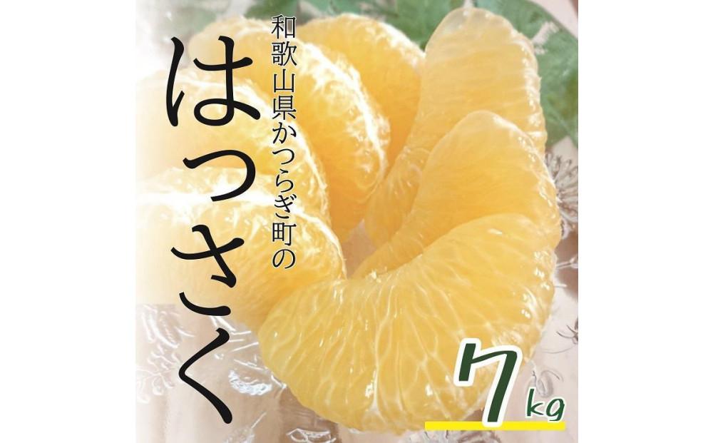 【訳あり】 八朔 約7kg 【2月上旬から3月上旬頃発送】【KF1】 303446_BE90014