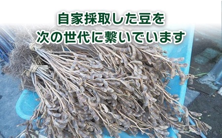 【令和8年産先行予約】山形セレクション認定　だだちゃ豆 「白山だだちゃ」 1.2kg（600g×2袋）　山形県鶴岡市　白山ちゃ茶農園　K-831　| だだちゃ豆 枝豆 えだまめ 豆 1.2キロ 夏の味