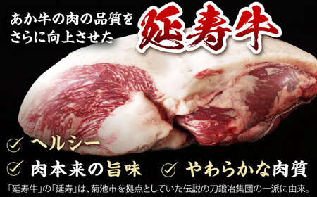 【6回定期便】熊本県産 延寿牛 あか牛 モモ ブロック 約 500g【有限会社 九州食肉産業】[ZDQ117]