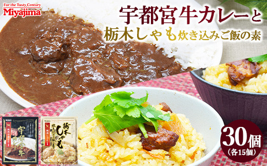 
            宇都宮牛カレー 200g×15個＋栃木しゃも炊き込みご飯の素 200g×15個セット
          