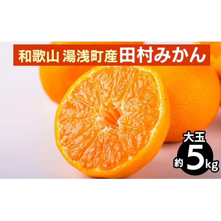 【先行予約】 田村みかん 約5kg 【大玉】 和歌山県 湯浅町 田村地区産