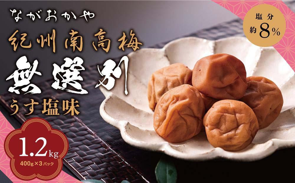 
紀州南高梅 無選別 うす塩味（塩分約8％） 1.2kg（400g×3パック) 和歌山県産 塩分8％ つぶれ梅 うめぼし 梅干し 梅 送料無料 ふるさと納税 はちみつ ハチミツ 減塩 梅干 訳アリ 1.2キロ わけあり セット お取り寄せ ご当地グルメ 和歌山県 みなべ町 非常食 保存食 小分け A-402
