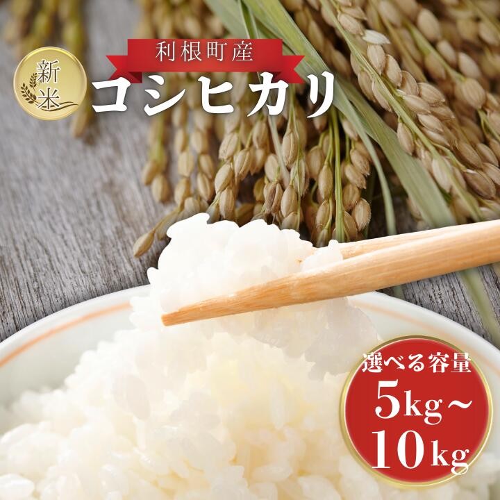 
                  利根町産　コシヒカリ　精米　5～10kg ／ 米 こめ コメ お米 おこめ コシヒカリ こしひかり 令和7年産 新米 精米 白米 ごはん ご飯 5kg 10kg 茨城県 利根町 産地直送 送料無料
                