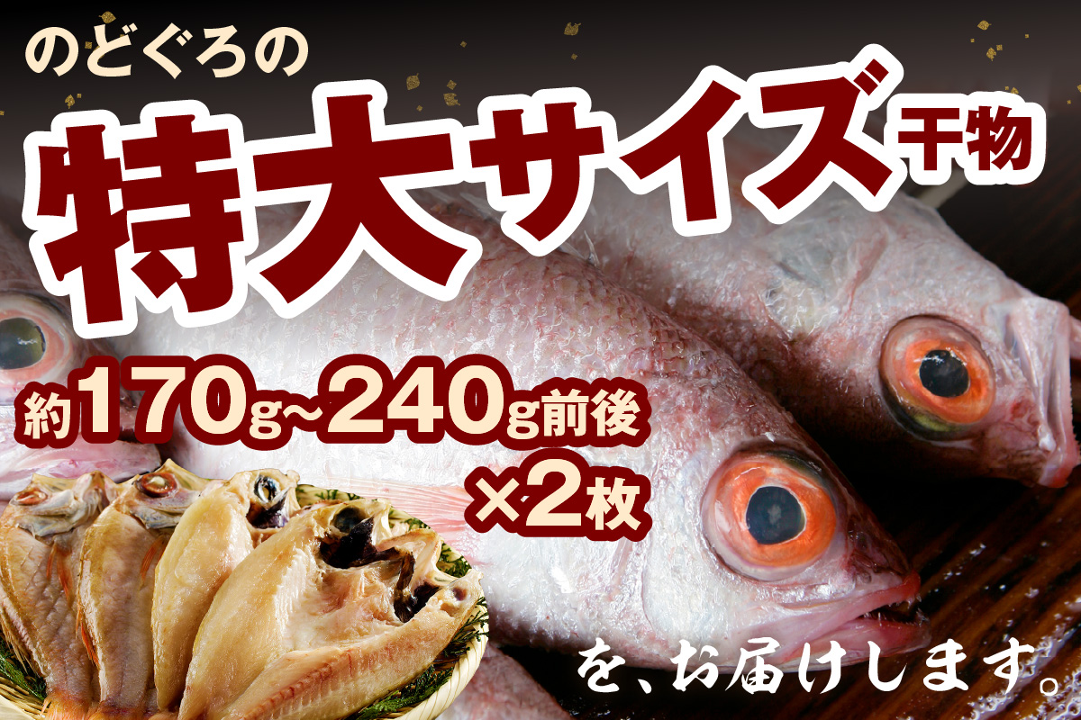 【先行予約】のどぐろ干物 特大3～4枚（計700g前後）＜9月中旬以降発送＞ のどぐろ本来の旨味に出会う渾身の干物 河野乾魚店 魚介類 魚貝類 干物 干もの 一夜干し お祝い お取り寄せ グルメ 【0