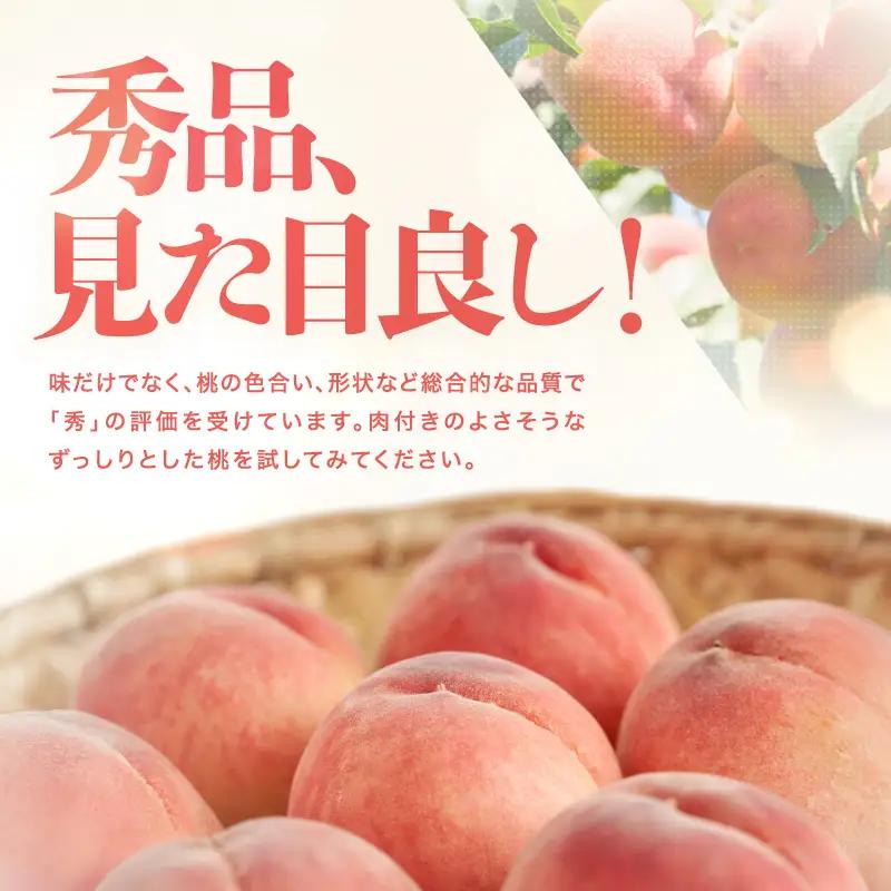 【2026先行予約】 桃 南信州産 あかつき 約5kg 秀品 ＜2026年7月下旬～順次発送＞ ＪＡみなみ信州ＤＭセンター｜長野県 飯田市