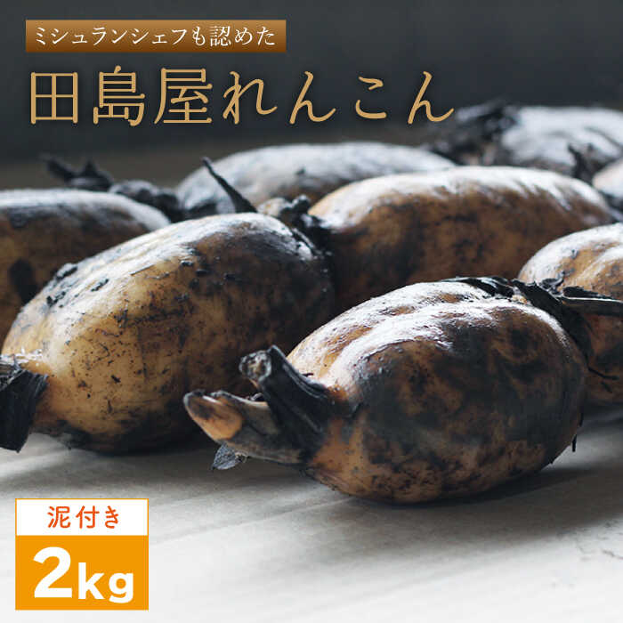 【ふるさと納税】【年内配送】【ミシュランシェフも認めた】れんこん（泥付き） 2kg【田島屋れんこん】 蓮根 レンコン 根菜 野菜 白石町産 白石町 佐賀県 [IAV002]