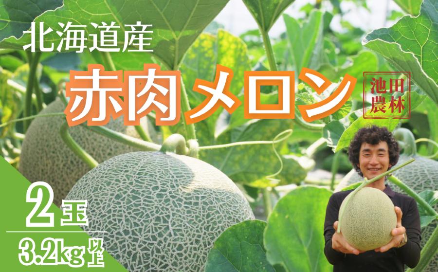 北海道栗山町産  幻のメロン 2玉