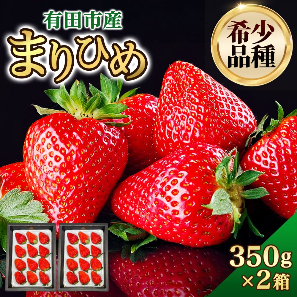 【ふるさと納税】★1月も順次発送★ 特選 いちご まりひめ 大粒 約350g×2箱 和歌山 苺 産地直送 濃厚 甘い フルーツ 果物 くだもの 人気 おすすめ 送料無料 国産 和歌山県有田市【12月中旬から順次お届け】 （A154-2）
