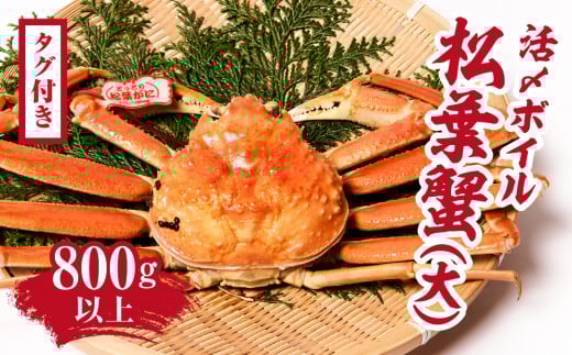 【タグ付き】活〆ボイル松葉蟹(大) 800g以上 【北海道・沖縄・離島配送不可】 松葉ガニ 松葉がに カニ かに 境港 マルツ 鳥取県日野町 60000010