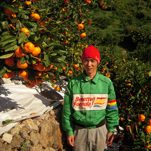 【順次発送中】 不知火 (デコポンと同品種) 約3kg 良品 みかん でこぽん 同品種 【NS0101】