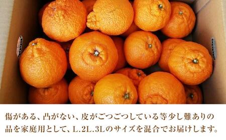 しらぬい 約5kg（家庭用）【2026年2月から発送】【みかん 柑橘 しらぬい 不知火 広島県 尾道市】