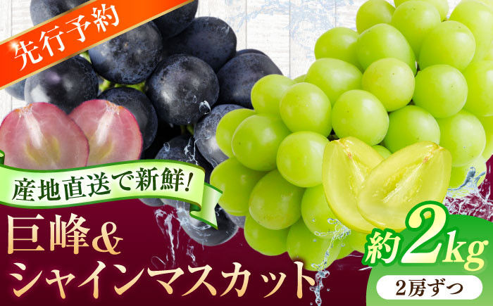 
[伊万里産]山和農園のぶどう2種セット（巨峰・シャインマスカット）2㎏
