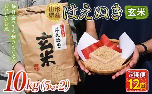 山形県産 はえぬき 玄米 12回定期便 《10kg（5kg×2袋）×12回》 FSY-0657