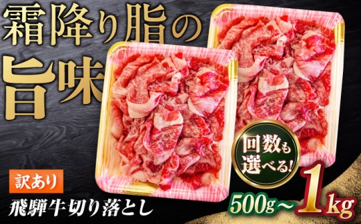 【6回定期便】 飛騨牛 切り落とし 1kg（250g×4パック） 等級 部位お任せ 牛肉 岐阜市 / だるまミート [ANBE040]