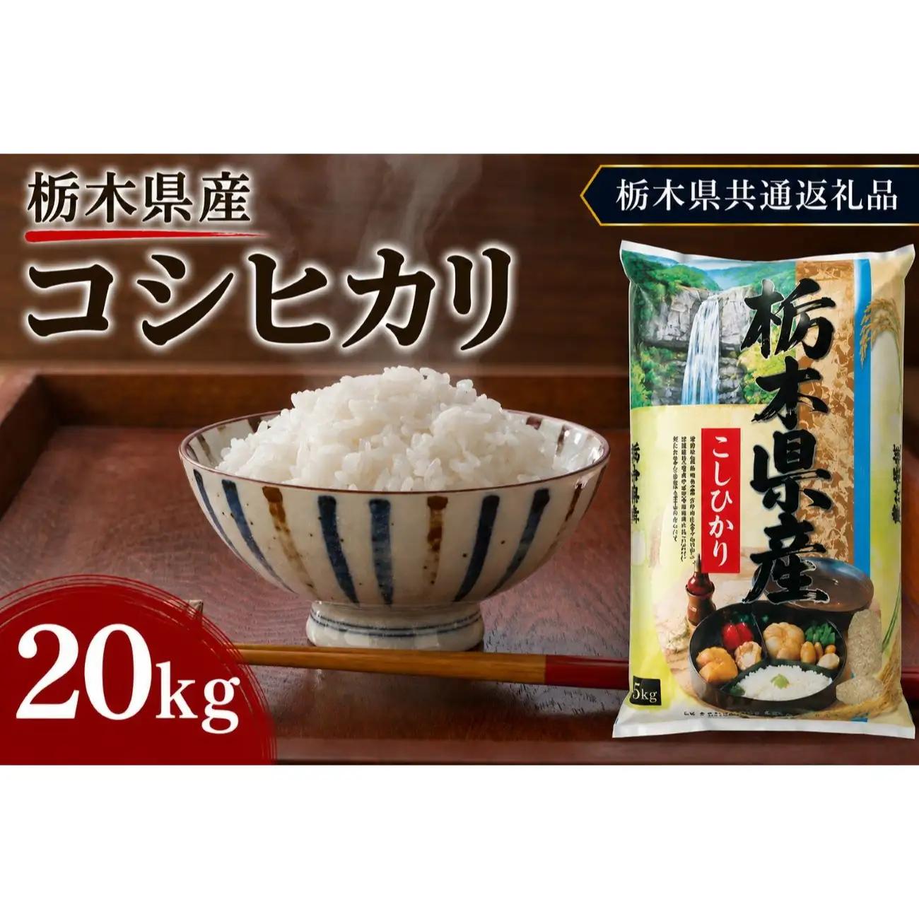 【令和8年産 新米】栃木県産 お米 白米 こしひかり 20kg | 栃木県 矢板市　栃木県共通返礼品 栃木県産