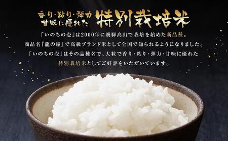 【定期便】飛騨高山産 いのちの壱（白米）5kg×12ケ月 | 米 AU110