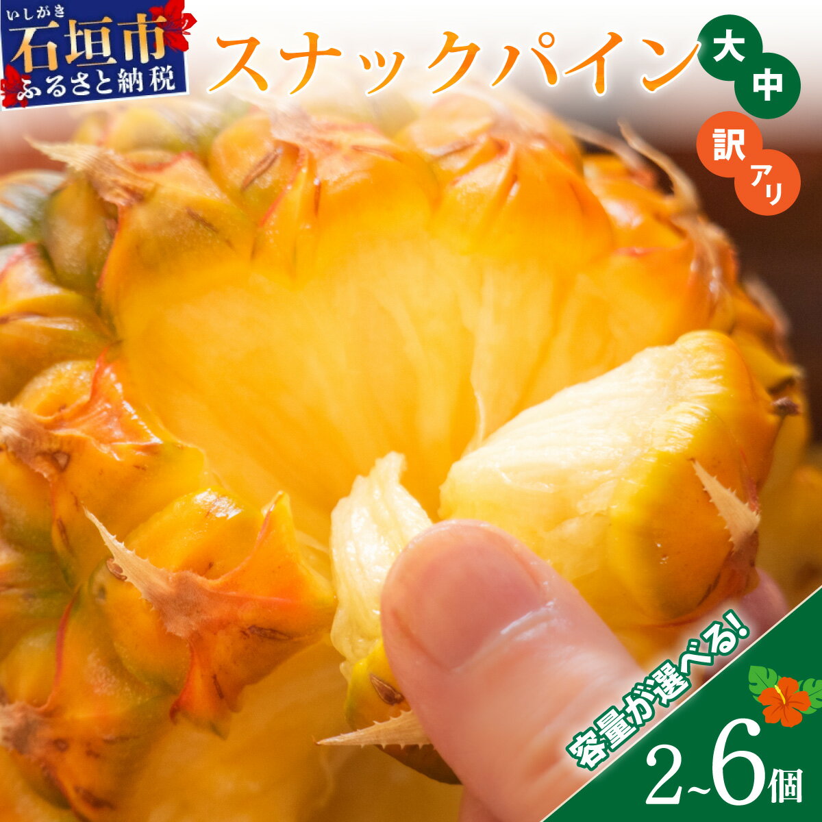 【ふるさと納税】＜先行予約＞石垣島産 スナックパイン (ボゴール) 【通常・訳あり】＜2026年5月以降発送＞ 沖縄県 石垣市 送料無料 パイン 果物 期間限定