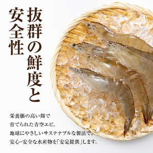 青空えび（和名：シロアシエビ）３パック入り【conn0002】