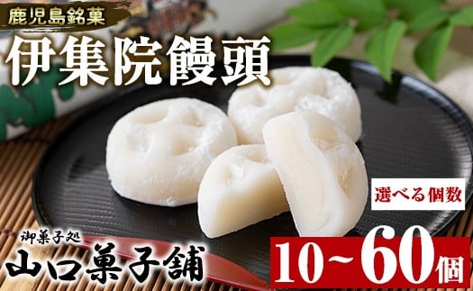 
                  No.1007/1007-A/1007-B ＜選べる個数！＞伊集院饅頭(計10～60個)日置市 セット 和菓子 スイーツ 郷土菓子 お菓子 ギフト 贈答品 贈り物【山口菓子舗】
                