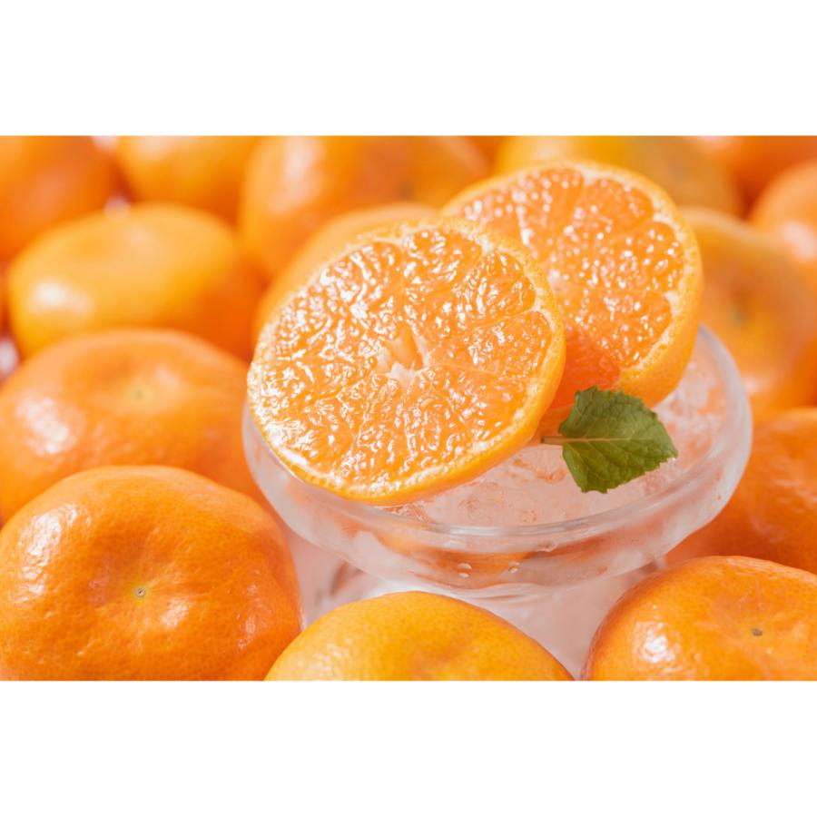 ＜南国フルーツ株式会社＞八女産みかん2kg(サイズ：S～L)