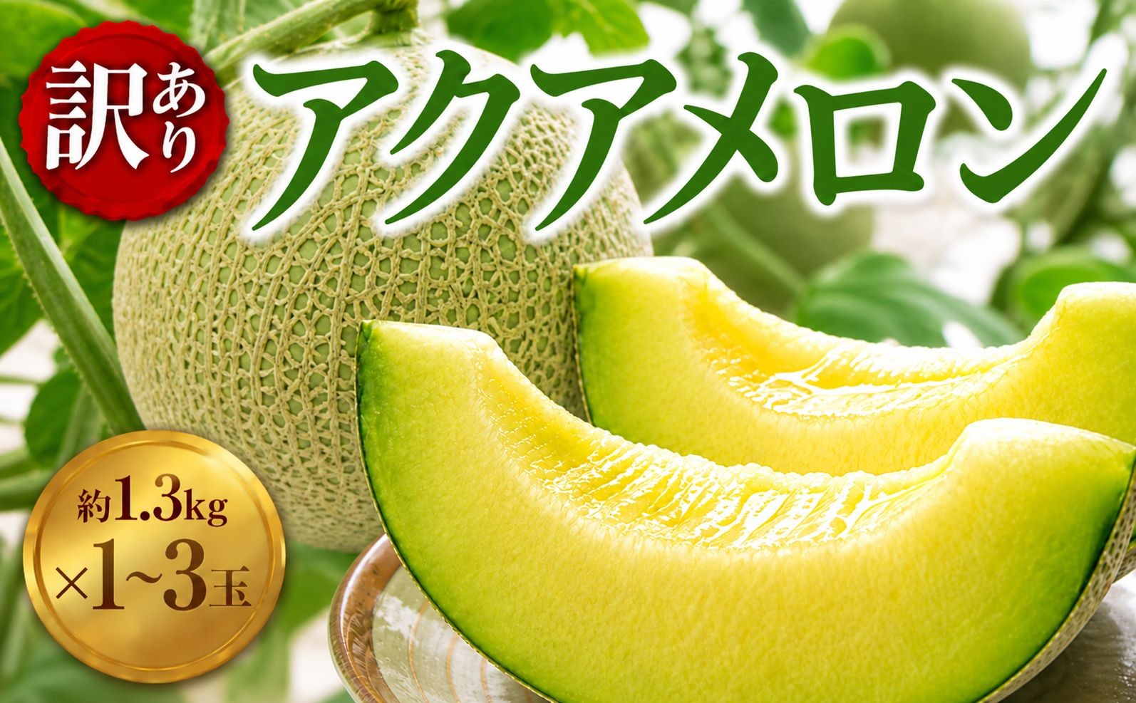 
                  メロン 訳あり 通年発送 アクアメロン 約1.3kg × 1玉~3玉 メロン めろん 青肉 meron マスクメロン ますくめろん 果物 くだもの フルーツ ふるーつ サイズ 大玉 甘い 温室 温室メロン メロン めろん ジューシー 果肉 デザート おやつ 高糖度 アールスメロン 戸田メロン 千葉 東金
                