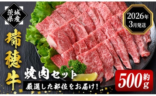 ＜2026年3月中に発送＞ 瑞穂牛焼肉セット 約500g 牛肉 やきにく バラ 肩ロース 肩 肩バラ トモサンカク イチボ ブランド牛 冷凍配送 茨城県 お中元 焼肉の日 敬老の日 瑞穂牛 焼肉 10種 盛り合わせ 食べ比べ 国産 肉 BBQ セット 【（株）フロンティアロード】【ho0858-1-03】