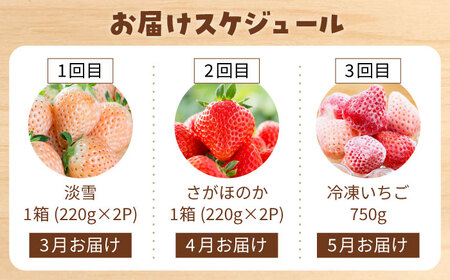 先行予約 2027年3月～発送 【3回定期便】赤白いちご食べ比べ！ /  いちご [IAP030]