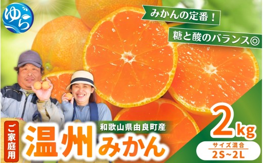 家庭用 温州みかん 2kg / 農家直送 くだもの  果実  柑橘 果物 フルーツ 国産 和歌山県 由良町 ご家庭用 人気 おすすめ  ※2026年11月中旬頃～12月下旬頃に順次発送予定【nktn004-c-2】