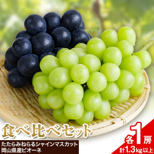 【ふるさと納税】【先行予約】食べ比べセット たたらみねらる シャインマスカット 岡山県産 ピオーネ 各1房 計1.3kg以上 Y＆G.ディストリビューター株式会社《2026年8月下旬-10月下旬頃出荷予定》岡山県 笠岡市 マスカット ぶどう ブドウ 葡萄 フルーツ 果物