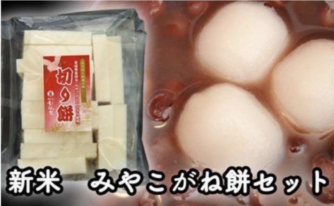 【12月28日発送】お正月におすすめ！甘仙堂の「みやこがね餅」と「ゆべし」セット