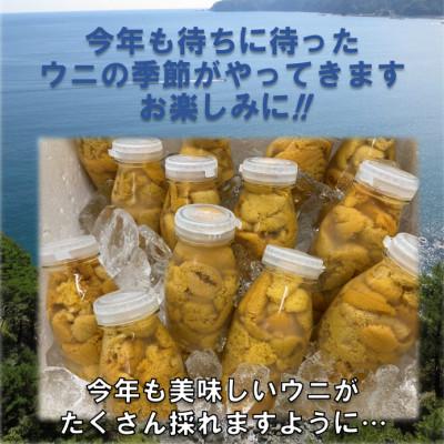 ふるさと納税 田野畑村 【予約・6月〜発送】岩手・三陸　小さな村のきれいな海で育った新鮮瓶入り　天然生うに(160g×3本) |  | 02