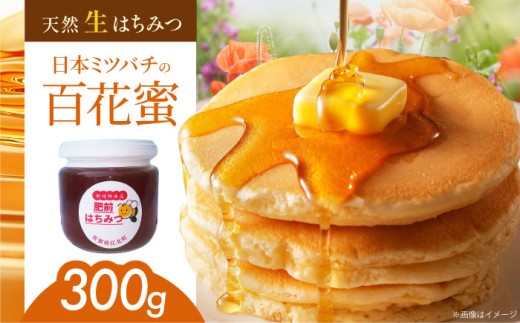 【先行予約】日本ミツバチの天然生はちみつ ( 百花蜜 ) 300g【白木酒店】 [HAQ011] / ハチミツ はちみつ 蜂蜜 日本ミツバチ 国産 国産はちみつ 佐賀