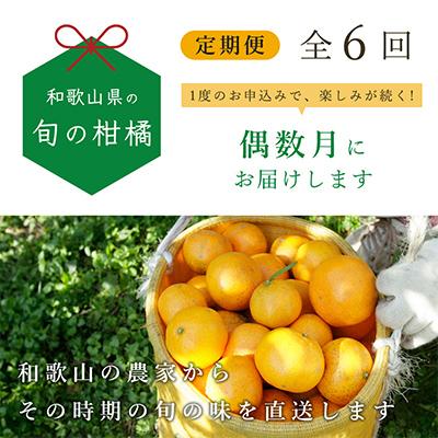 ふるさと納税 那智勝浦町 【発送月固定定期便】季節の柑橘定期便B【フルーツ定期便】【和歌山県有田】全6回 |  | 01