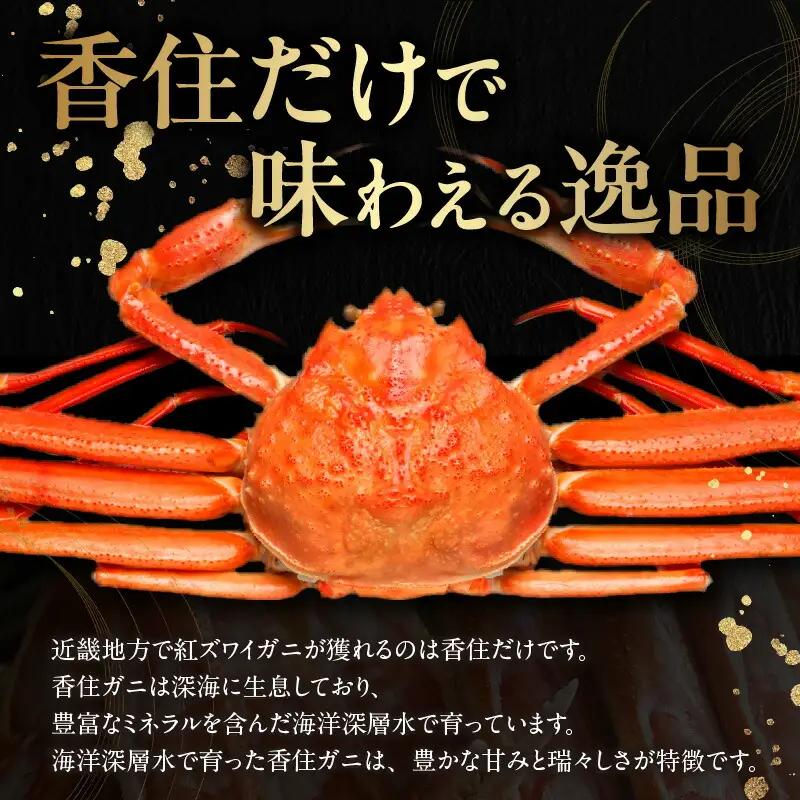 高評価☆4.7 【タグ付き】 浜茹で 香住ガニ 1.4kg 【令和8年9月中旬以降発送予定】 カニ かに 19-13