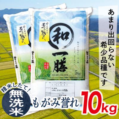 ふるさと納税 最上町 数量限定!【無洗米】令和7年産山形県産もがみ誉れ10kg