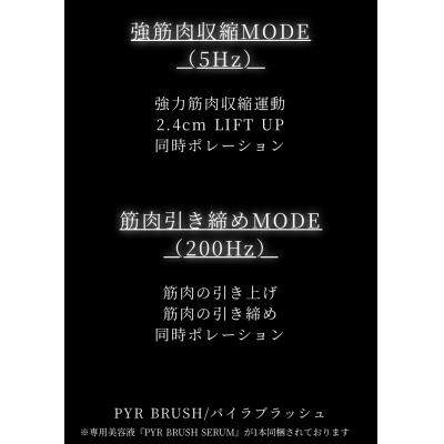 ふるさと納税 甲府市 【株式会社シティライフ】PYR BRUSH パイラブラッシュ |  | 02