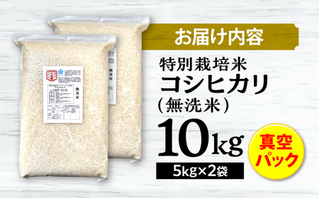 特別栽培米コシヒカリ 真空パック白米（無洗米）10kg（5kg×2袋） お米 こしひかり ご飯 コシヒカリ おこめ 三次市/小川モータース[APCH003]