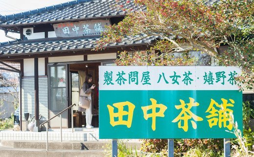深蒸し特上煎茶100g×4本・茶缶1個付き 【お茶 緑茶 煎茶 深蒸し煎茶 八女茶 嬉野茶 知覧茶 新茶】(H047114)