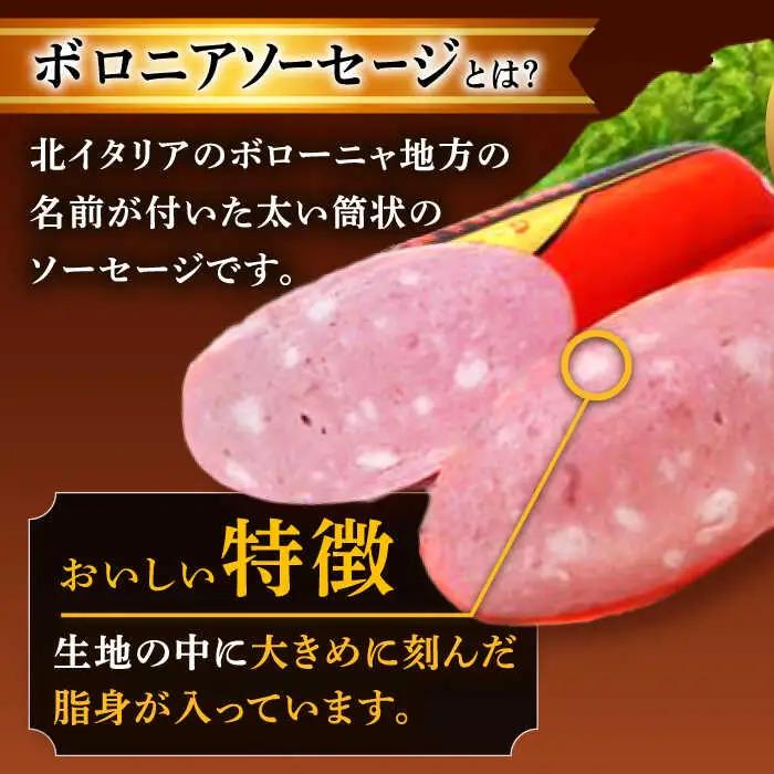【12回定期便】宮地ハムのロングセラー ボロニアソーセージ 100g×6本 /宮地ハム [UBM013] ソーセージ
